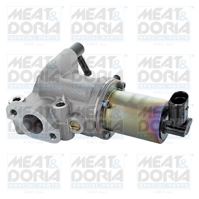 EGR Valve